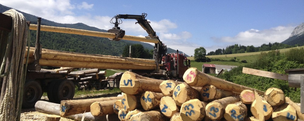 gîtes du tilleul luxe 10 12 personnes vercors Rencurel eco-construction rondins fustier