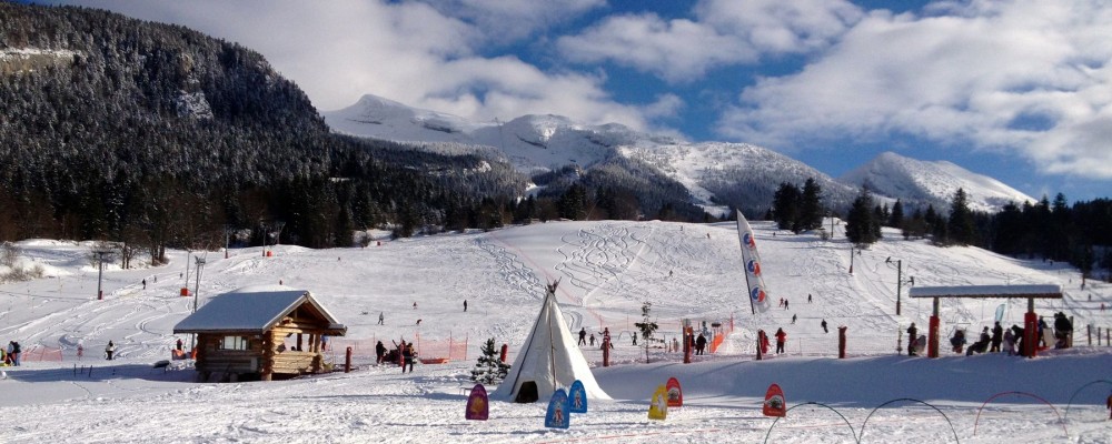 gîtes du tilleul luxe 10 12 personnes vercors Rencurel villard de lans