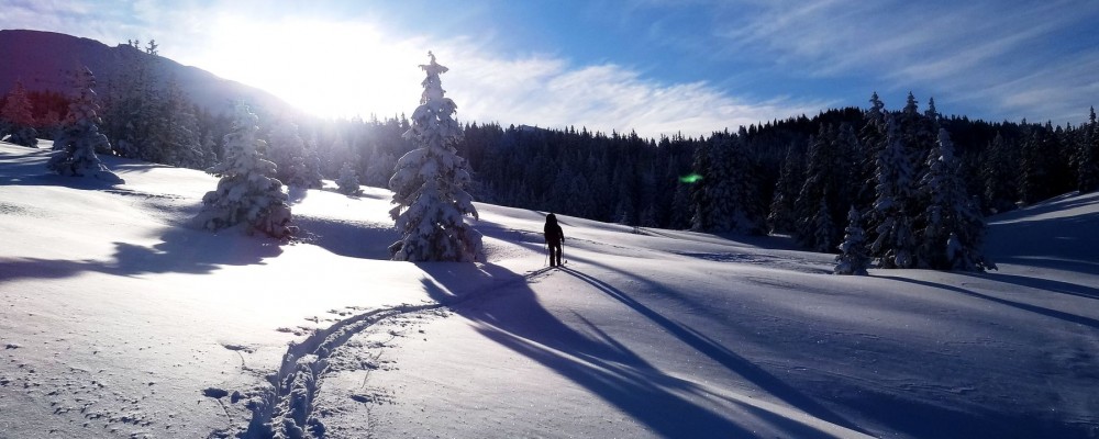 gîtes du tilleul luxe 10 12 personnes vercors Rencurel villard de lans