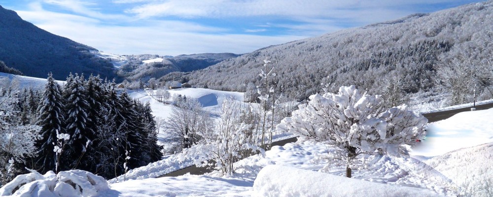 Les coulmes gîtes du tilleul luxe 12 personnes vercors Rencurel villard de lans